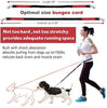 Correa para perro de LANNEY, manos libres, para correr, caminar, entrenamiento, senderismo, con doble asa, con correa reflectante, bolsa dispensadora de bolsa de cuna, cinturón ajustable para la cintura, absorción de golpes, ideal para perros medianos a g - BESTMASCOTA.COM