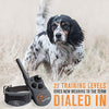 SportDOG Brand 425 - Collar electrónico con control remoto (500 yardas, estático, vibratorio y tono, impermeable, recargable, incluye nueva serie X) - BESTMASCOTA.COM