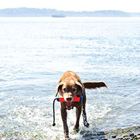 Lanzador de pelotas para perros ChuckIt! Juguete flotante para perros - BESTMASCOTA.COM