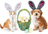 RYPET - Juego de 2 orejas de conejo de Pascua para perros y gatos pequeños a grandes - BESTMASCOTA.COM