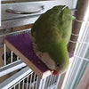 Colorido soporte para perca de pájaro, plataforma de madera natural para parque de recreo, molienda de patas, limpieza para mascotas, loros, parakeet, cacatías, conure Lovebirds - BESTMASCOTA.COM