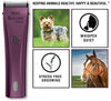 Wahl Bravura Ion de litio Clipper - BESTMASCOTA.COM