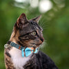 KUDES - Juego de 2 collares para gato con pajarita y campana para gatitos y algunos cachorros, ajustable de 7.8 a 10.5 pulgadas - BESTMASCOTA.COM