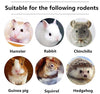 Dbeans Flourithing 3 tipos de juguetes combinados para masticar palos molar dulce de bambú de manzana rama Timothy hierba para mascotas Chinchilla ardilla gerbil hámster ardilla cobayas - BESTMASCOTA.COM