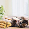 WoLover Cat Catnip Sticks Natural Matatabi Silvervine Sticks – Limpieza de dientes Molar Herramientas Gatito Gato Masticar Juguete Natural Catnip Ratón Gato Juguete - BESTMASCOTA.COM