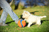 Chuckit Kick Fetch Toy Ball for Dogs - BESTMASCOTA.COM