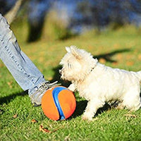 Chuckit Kick Fetch Toy Ball for Dogs - BESTMASCOTA.COM