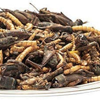 Aperitivos gusanos de comida con cricket seco natural (8oz) 100% natural sin OMG, alimentos para dragones panados, reptiles, pollo, pescado, patos, aves silvestres, tortugas, hámsteres, peces y erizos - BESTMASCOTA.COM