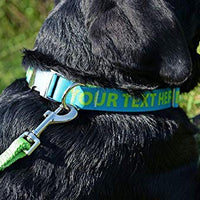 Collar de perro personalizado premium con cierre de metal – disponible en 20 colores + varios tamaños - BESTMASCOTA.COM