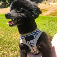 Ringloose - Arnés de malla suave para perros pequeños, medianos, cachorros, mascotas, fácil de controlar, para caminar y entrenar - BESTMASCOTA.COM