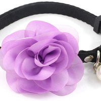 PetFavorites - Collar de corbata para mascotas, gato con colgante de campana, para mascotas, gatos - BESTMASCOTA.COM