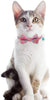 BINGPET 2 collares para gatos con campana, collar de seguridad ajustable para gatos, gatitos, cachemir - BESTMASCOTA.COM