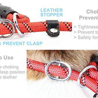 BAAPET Correa antideslizante para perro de 6 pies, antiasfixia con cubierta de cuerda duradera mejorada y asa acolchada cómoda para perros grandes, medianos y pequeños entrenamientos con bolsas de caca y dispensador - BESTMASCOTA.COM