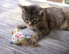 Petlinks System Sweet Tweet Cat Toy - BESTMASCOTA.COM