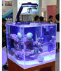 Luz LED de acuario para agua salada, agua dulce, tanque plantado, abrazadera de luces para arrecife de coral, tanque de peces, con cuello de cisne - BESTMASCOTA.COM