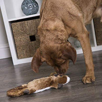 goDog Flatz Juguete para perro con protector para masticar - BESTMASCOTA.COM