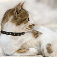 Collar de gato de liberación de seguridad de cuero genuino | acero inoxidable y hebilla ajustable | collar de gatito duradero | liberación elástica | disponible en varios colores y tamaños | Angel Pet Suministros - BESTMASCOTA.COM