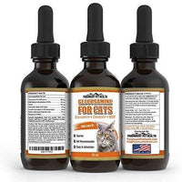 Paramount mascota salud líquido Glucosamina para gatos | Gato cadera y suplemento líquido las articulaciones con glucosamina condroitina MSM y taurina | Fabricado en EE. UU. - BESTMASCOTA.COM