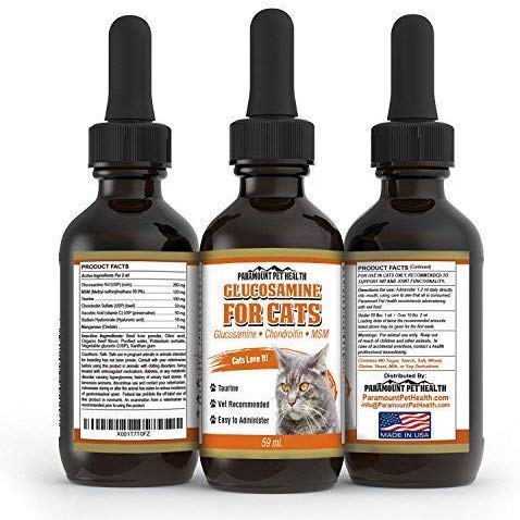 Paramount mascota salud líquido Glucosamina para gatos | Gato cadera y suplemento líquido las articulaciones con glucosamina condroitina MSM y taurina | Fabricado en EE. UU. - BESTMASCOTA.COM