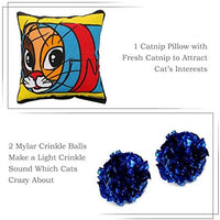 upsimples Cat Toys Including Cat Teaser Wand Interactive Feather Toy Fluffy Mouse Mylar Crinkle Balls Catnip Pillow for Kitten Kitty - BESTMASCOTA.COM