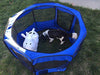 ToysOpoly, jaula de 45 pulgadas interior/exterior, corralito para animal doméstico La mejor perrera de ejercicio para tu perro, gato, conejo, perrito, hámster o conejillo de Indias Pluma portable para un fácil trazado - BESTMASCOTA.COM