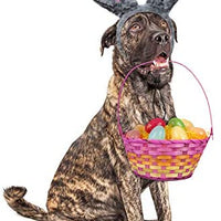 RYPET - Juego de 2 orejas de conejo de Pascua para perros y gatos pequeños a grandes - BESTMASCOTA.COM