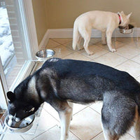 Comedero individual PetFusion innovador magnético para mascotas. Junta, separa, agrega, mezcla y combina. - BESTMASCOTA.COM