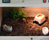 omem Reptiles Hideout humidification Cueva con cuenca para Lizard - BESTMASCOTA.COM