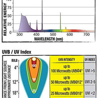 Zilla UVB Fluorescent Coil Bulb - BESTMASCOTA.COM