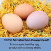 Pampered Pollo Mama Trasero Gallinero para Huevos Grandes - Suministros de Alimentación de Pollo para Patio Trasero - Gallina para los mejores Huevos - Suplemento alto de Calcio para Pollos - BESTMASCOTA.COM
