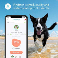 Findster Duo+ Pet Tracker Free of Monthly Fees - GPS Tracking Collar for Dogs and Cats & Pet Activity Monitor - BESTMASCOTA.COM