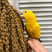 Nemeth Farms Worlds - Spray de mijo original para pájaros y suplemento no transgénicos para todas las aves de mascotas, parakeets, cockatiels, Lovebirds y Finches - BESTMASCOTA.COM