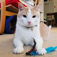 PetSoKoo - Collar para gato con campana Elegante lazo con colgante de hueso de pez. Rotura de seguridad, peso ligero, suave, duradero. - BESTMASCOTA.COM