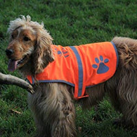 Chaleco reflectante de seguridad para perros, 5 tamaños para adaptarse a perros de 10 libras – 130 libras: alta visibilidad para actividades al aire libre día y noche, mantiene a tu perro visible, seguro de coches y accidentes de caza | Blaze Orange chale - BESTMASCOTA.COM