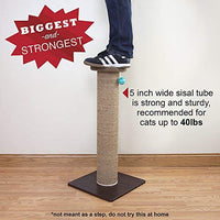 Kitty City XL - Alfombra de sisal tejida para rascar y arañar - BESTMASCOTA.COM