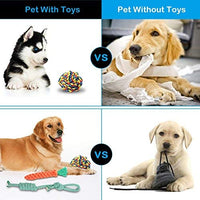 FOCUSPET Dog Chew Toys, Dog Rope Toys Set 10 Pack Dog Chew Toys for Dog Teeth Grinding Cleaning Ball Play IQ Training Interactive Knot Dental Health Chewing Biting Durable Toys - BESTMASCOTA.COM