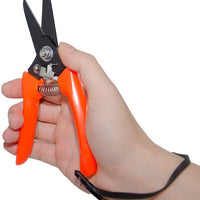 Small Bing SK5 tijeras de acero al carbono ultra Twig para recortar el pelo, cuchilla de afeitar de 7.0 in de largo, empaquetado con resorte de seguridad de carga - BESTMASCOTA.COM