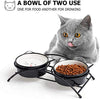 Y YHY cuencos elevados de cerámica para gatos, cuencos de agua o comida para gatos, platos dobles con soporte de metal, diseño de orejas de gato, 12 onzas - BESTMASCOTA.COM