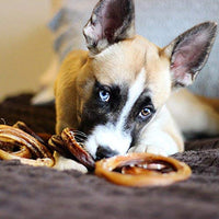 Bully Stick Variedad Pack para Perros | Mejor Mezcla de Natural Baja Olor de carne Stix | Pizzle Dental Treat Chews: Recto, Trenzado, Anillo, Primavera, Barbell, Pretzel, etc. - BESTMASCOTA.COM