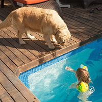 Cama de espuma viscoelástica impermeable para mascotas, para interior y exterior, con parte inferior antideslizante y funda lavable extraíble - BESTMASCOTA.COM