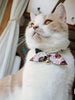 Necoichi Kimono - Collar para gato - BESTMASCOTA.COM