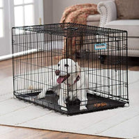 Petmate "ProValu" Wire Dog Crate, Two Doors, Precision Lock System, 6 Sizes - BESTMASCOTA.COM