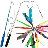 Juguete para gatos con plumas de JIARON, 2 piezas retráctiles de juguete para gatos y 10 piezas de repuesto con relleno de campana, temporizador interactivo y divertido ejercicio para gatos o gatos. - BESTMASCOTA.COM