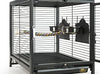 Prevue Pet Products - Transportín de viaje para pájaros, color negro - BESTMASCOTA.COM