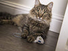 Petlinks System Lemur Lights Cat Toy - BESTMASCOTA.COM