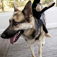 goDog Crazy Tugs Sasquatches with Chew Guard Technology Tough Plush Dog Toy - BESTMASCOTA.COM