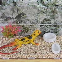 OMEM Worm Dish Mini Reptile Food Bowl Ceramics Made - BESTMASCOTA.COM