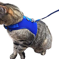 Downtown - Chaleco para mascotas con arnés y correa combinados con funciones de seguridad añadidas para que sea resistente a la deformación de gatos pequeños, medianos, grandes y pequeños (disponible en azul y negro) - BESTMASCOTA.COM