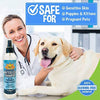 Champú para perros sin agua | Champú seco natural para perros o gatos no requiere enjuague | 100% no tóxico con extracto natural | Tratamiento aprobado por veterinarios - Fabricado en Estados Unidos - 1 botella de 8.1 fl oz - BESTMASCOTA.COM