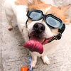 Enjoying - Gafas de sol para perros pequeños, protección UV, resistente al viento, con correa ajustable para cachorro y gato - BESTMASCOTA.COM